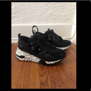 Steve Madden Cliff Shoes Size 6 Black and White